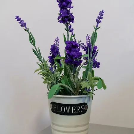 Bell Tower Iii Apartamento